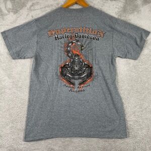Harley Davidson Shirt Mens Medium‎ Gray Scorpion Apache Junction Arizona Y2K